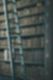 Library Shelves