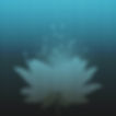 Marlene Lotus Square.jpg