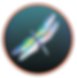 dragonfly.png