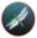 dragonfly.png